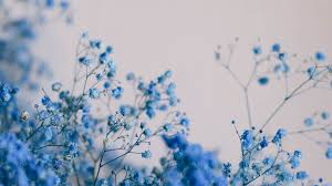 blue aesthetic wallpaper desktop