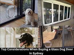 Blog Platinum Pet Doors Glass Pet