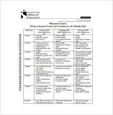 Responsibility Chart Template 11 Free Sample Example Format