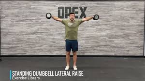 upper body dumbbell exercises