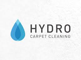 hydro carpet cleaning logo design by