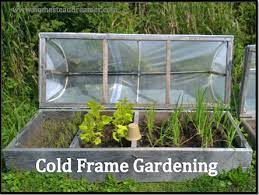 Cold Frame Gardening Homestead Dreamer