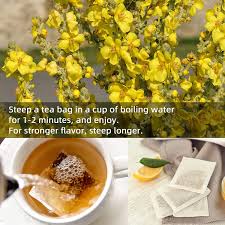 organic mullein leaf tea for lung