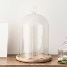 Glass Cloche Bell Jar Display Dome With