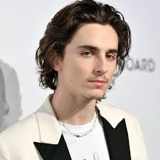 Fans have a lot to say about timothée chalamet's bowl cut, but it's far from his most dramatic style. Timothee Chalamet New Goatee Is Something