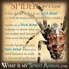 spider symbolism meaning spirit