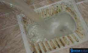 Fayans arası nasıl temizlenir ? Sararmis Tuvalet Tasi Nasil Temizlenir