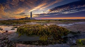 st marys lighthouse on tidal island at