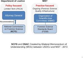 Nist Organization Of Scientific Area Committees Osac A