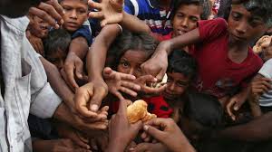 Hasil gambar untuk kelaparan global