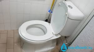 Replacing Your Hdb Bto Toilet Bowl
