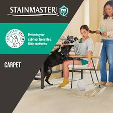 stainmaster petprotect 7l93300114