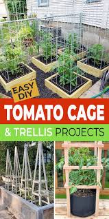 Easy Diy Tomato Cage Trellis Ideas