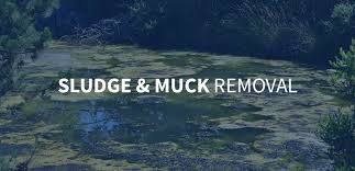 Sludge Muck Removal