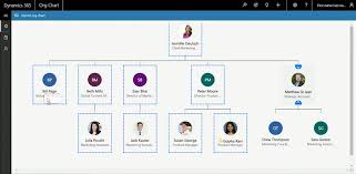 Linkedin Live Org Chart In Dynamics 365 For Sales