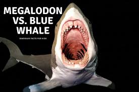 megalodon vs blue whale dinosaur
