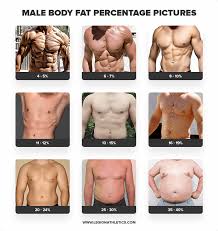 how to calculate body fat percene