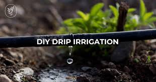 diy drip irrigation systems for