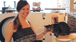 Start your day right at residence inn charlottesville downtown. Richmond Introduces Its First Cat Cafe Boomermagazine Com