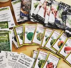 How To Choose The Best Garden Seeds