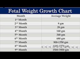 fetal weight growth chart प र गन स