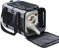 Amazon.com : Vceoa Carriers Soft-Sided Pet Carrier for Cats : Pet Supplies
