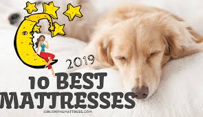 The perfect mattress for a peaceful sleep. Best Mattress In A Box List Top 10 Best Mattress Picks 2021