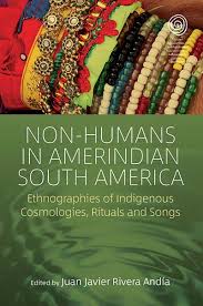 ethnographies of indigenous cosmologies