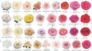 Роскошь англиских садов в доме: розы Alexandra Farms | Leto Flowers –  цветочный сервис | Дзен