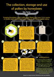 Winter Studies How Honeybees Use Nectar Pollen Propolis