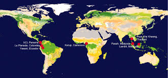 This rainforest map resource is great and highlights all areas of the earth that are covered by the tropical. Global Correlations In Tropical Tree Species Richness And Abundance Reject Neutrality Science