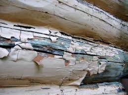why you shouldn t paint a log home