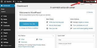 wordpress user admin toolbar