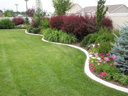 Landscaping Ideas For Large Backyards