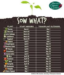 Chart Of When To Start Growing Veggie Fruit Plants Indoors