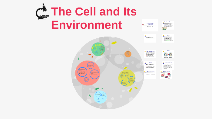 THE CELL AND ITS ENVIRONMENT