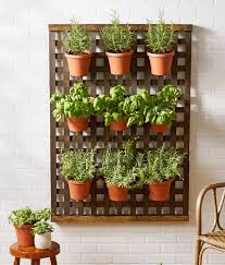 35 Vertical Plant Walls And Gardens