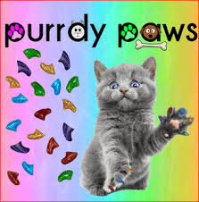 purrdy paws soft nail caps for cats