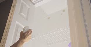 painting over stains on walls