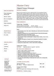 We have also provided project manager resume examples for your reference which you can find as you keep reading this blog. Digital Project Manager Resume Example Sample Technology Images Clients Social Media Job