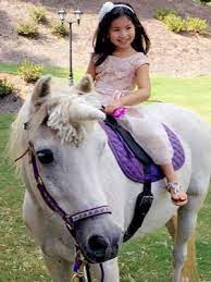 We did not find results for: Pony Rides Birthday Parties And Events Atlanta Princess Parties Atlanta Unicorn Ponies Atlanta Cowboy Parties My Pony Party Atlanta