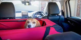 Dog Car Safety Products Best Carriers