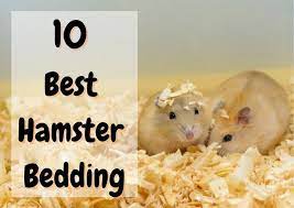 best hamster bedding 2022 guide the