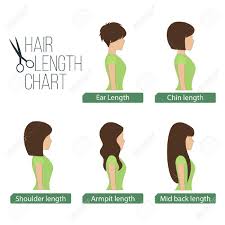 Hair Length Chart Side View 5 Different Hair Lengths