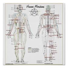 Human Meridians Pressure Point Chart Poster Zazzle Com