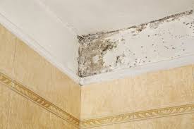 Mold On Bathroom Ceiling What To Do