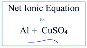 how to write the net ionic equation for