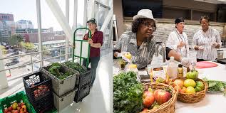 Rooftop Farm Provides Nutritious Food