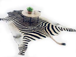 zebra hide rug mututodecor com