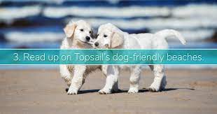 topsail pet friendly vacation